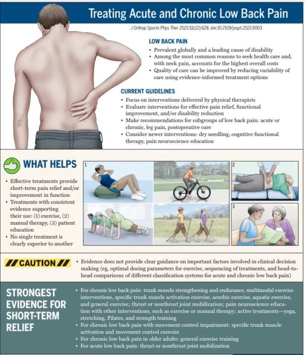 Low Back Pain Clinical Perspectives - Saanich Physio + Sports Clinic
